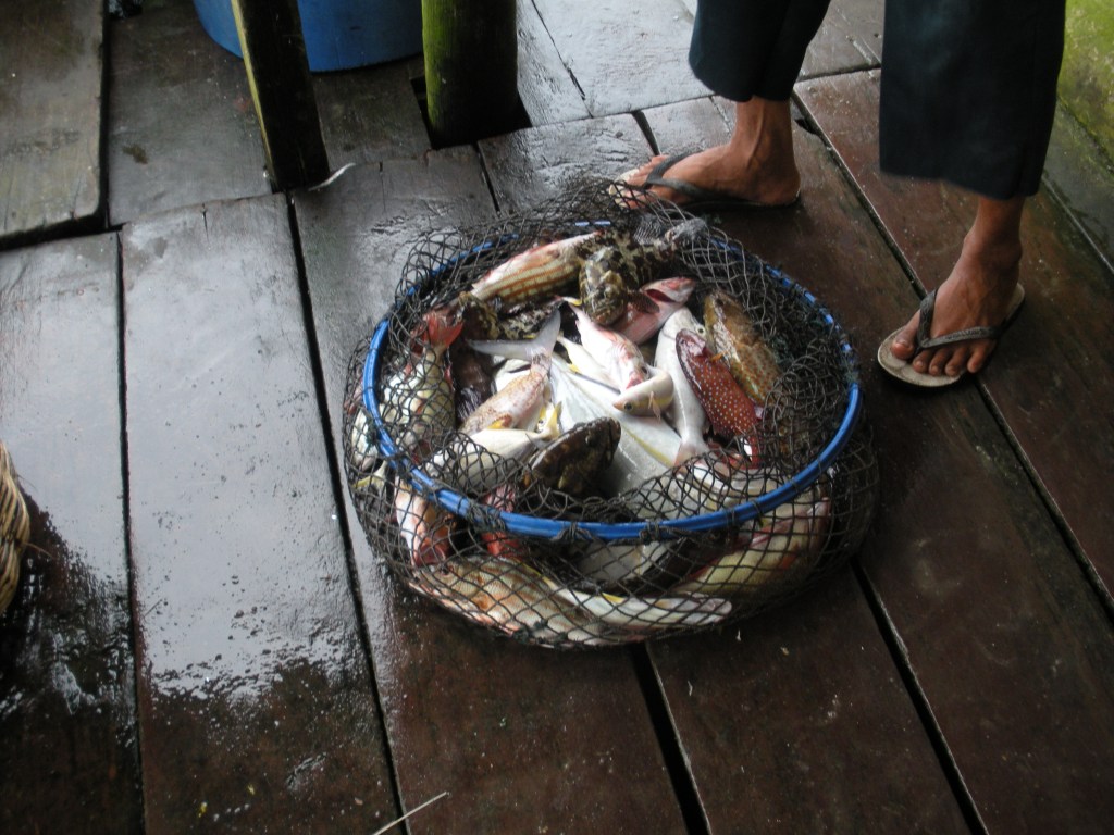 A basket full of coral fish sits on the deck at a fishermen's feet after being weighed for sale.