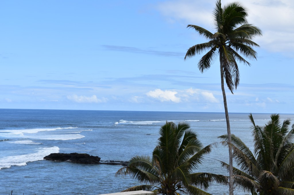 A tall palm tree reaches over a long blue coastline in Samoa. 